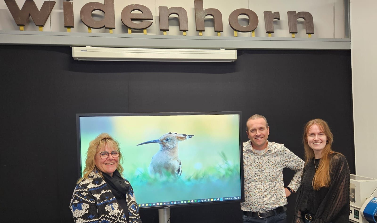 Blijdorp